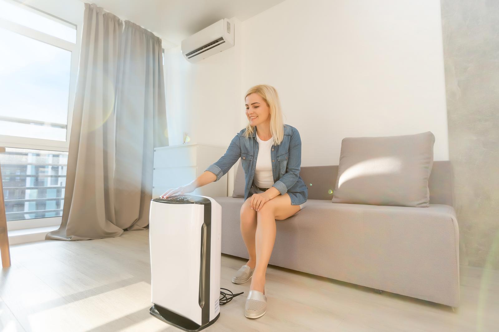air purifier to Make Your Home Allergy-Proof